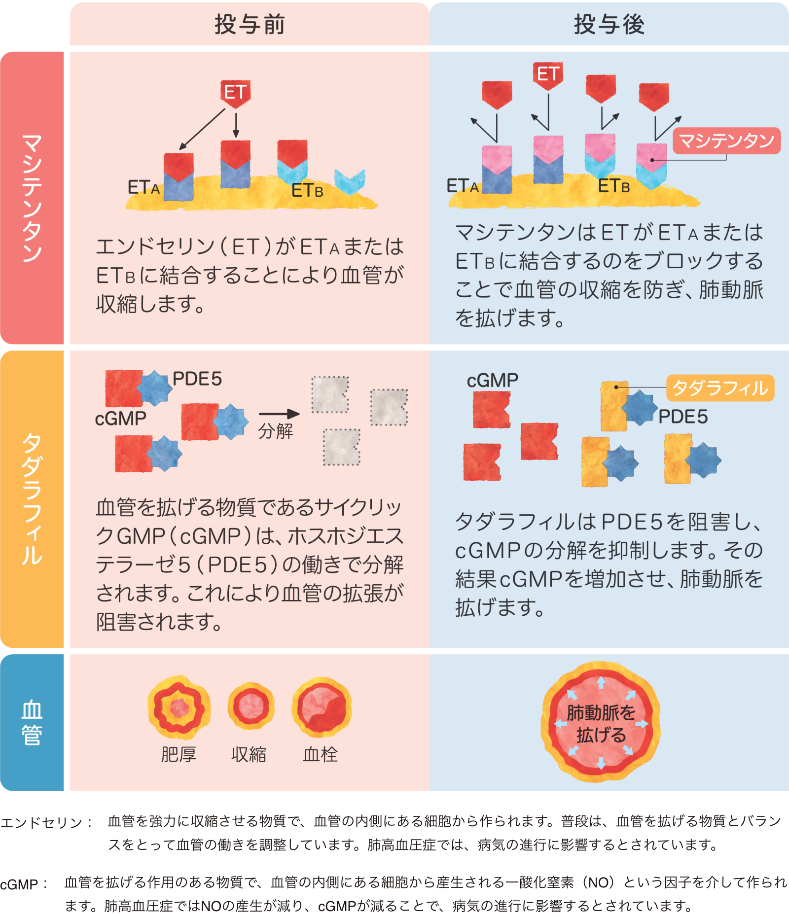 ユバンシ®配合錠の効果