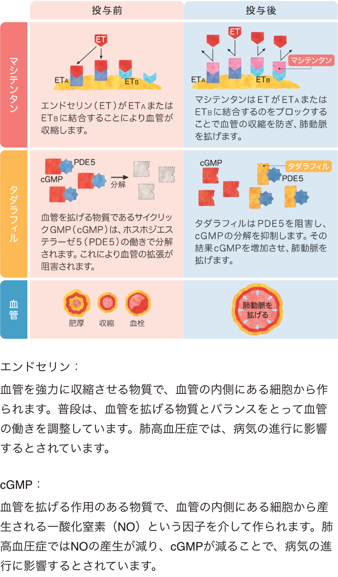 ユバンシ®配合錠の効果